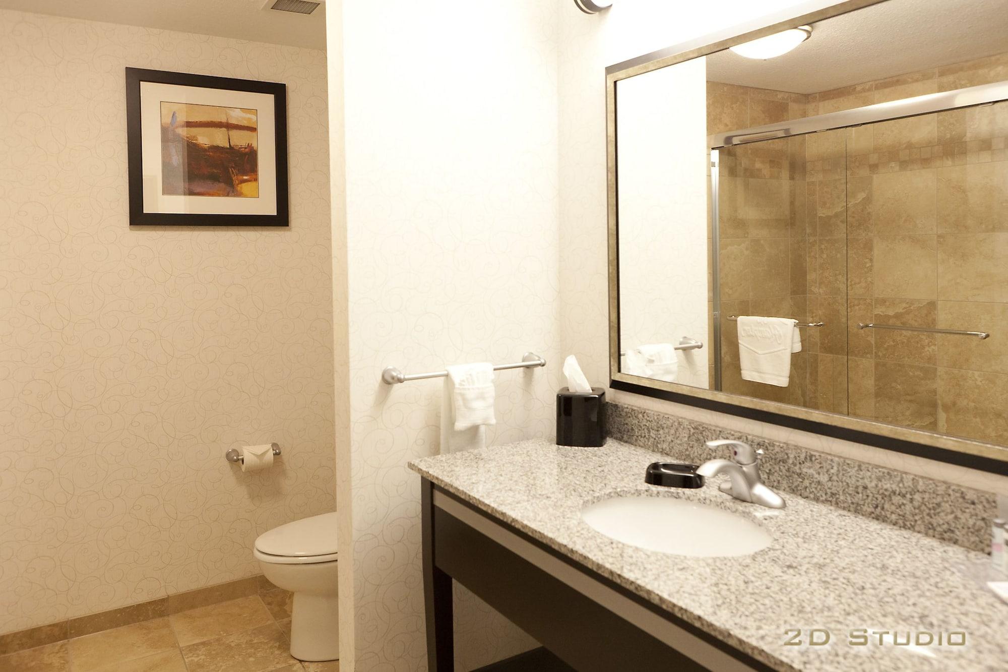 Hampton Inn & Suites By Hilton Lethbridge Esterno foto